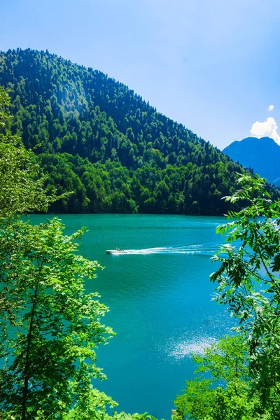 Ritsa lake, Abkhazia. beautiful landscape — Stock Photo, Image