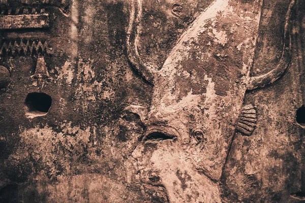 Mısır hiyeroglifleri taşa oyulmuş