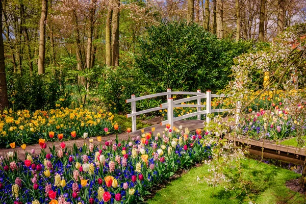 Paisaje de primavera. paisaje con flores en un prado —  Fotos de Stock