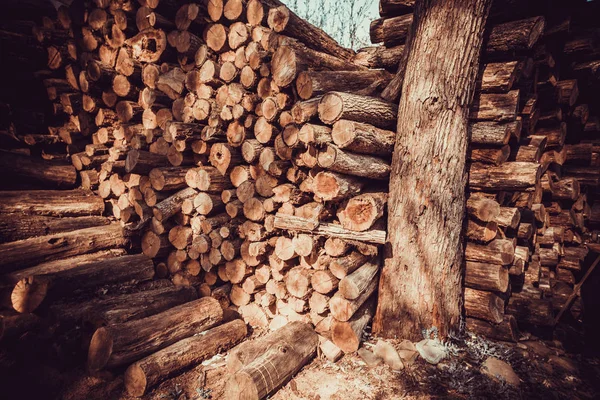 Reihe von Brennholzbeständen für den Winter — Stockfoto