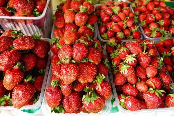 Verse aardbeien te koop op een markt — Stockfoto