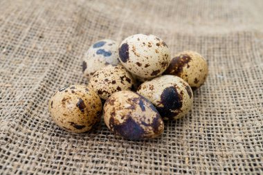 Taze bıldırcın yumurtası. Kırsal biçim