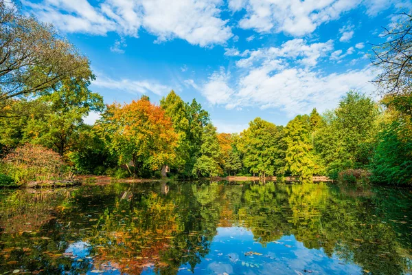 Paisaje de otoño. Hojas de árboles de otoño — Foto de Stock