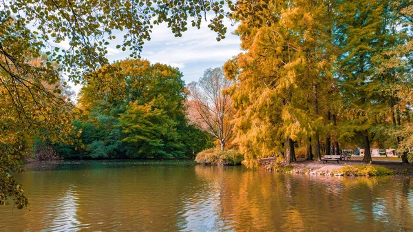 Herfst landschap prachtige gekleurde bomen — Stockfoto