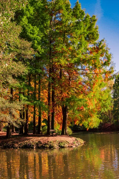 Kleurrijke herfst reflecteren in het water — Stockfoto