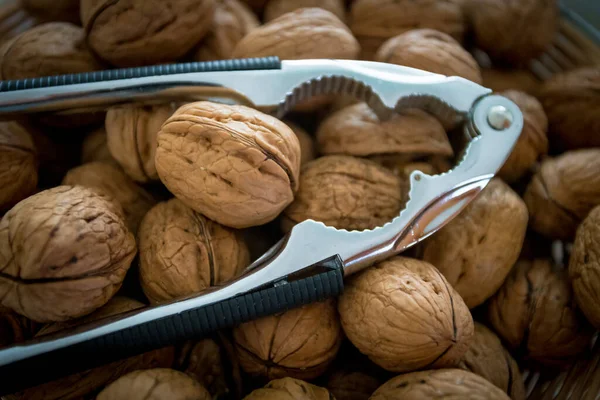 Nutcracker on brown walnuts. Whole walnuts — Stock Photo, Image