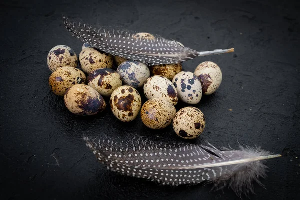 Huevos de codorniz sobre fondo oscuro —  Fotos de Stock