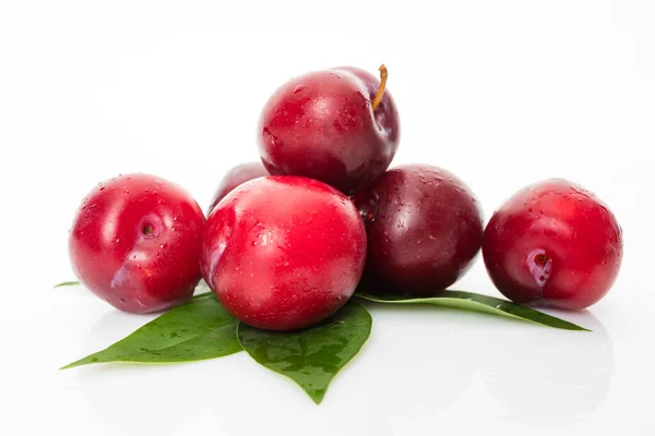 Prugna rossa con foglie verdi isolate su sfondo bianco — Foto Stock