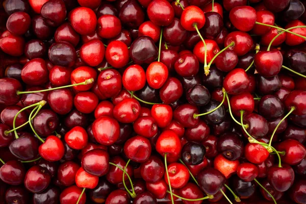 Cereza. Bayas orgánicas frescas. Fondo de fruta — Foto de Stock