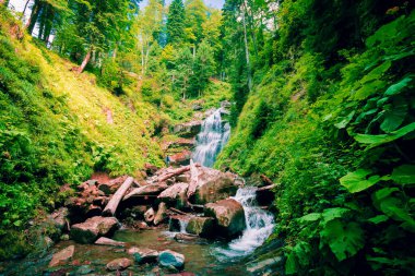 Dağ nehri şelale manzara. Şelale nehri