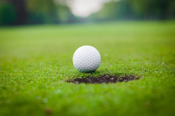 कप के होंठ पर गोल्फ बॉल। गोल्फ कोर्स में ग्रीन घास पर गोल्फ बॉल — स्टॉक फ़ोटो, इमेज