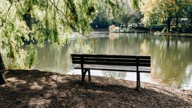 Gölün kıyısındaki boş bank Göl kıyısının güzel manzaralı ağaçlar tarafından çerçevelenmiş