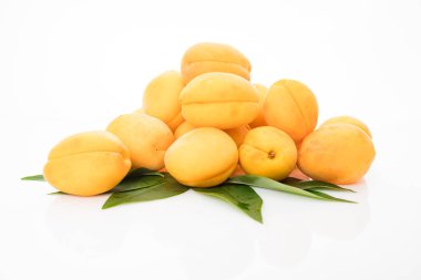 Beyaz arka plan üzerinde izole yaprak ile kayısı meyve