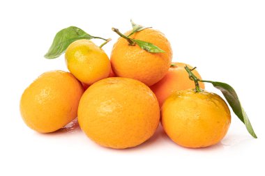 Beyaz arkaplanda yapraklı mandalinalar 