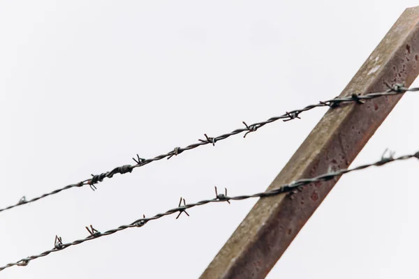 Arame farpado na cerca. — Fotografia de Stock