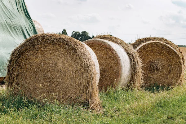 Haystack betakarítja a mezőgazdaságot. Mezőgazdaság mező szénakazal nézet. — Stock Fotó