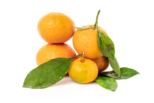 Tangerinas com folha isolada sobre fundo branco — Fotografia de Stock