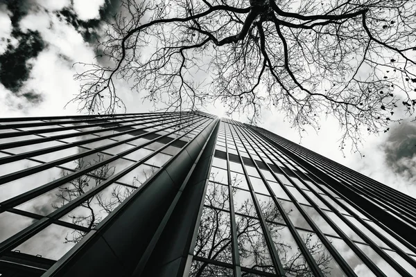 Låg vinkel syn på skyskrapor. modern byggnad — Stockfoto