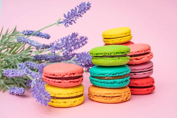 Tasty colorful macarons on pink background — Stock Photo, Image