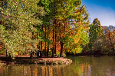 Sonbahar renkleri durgun sulara yansıyor
