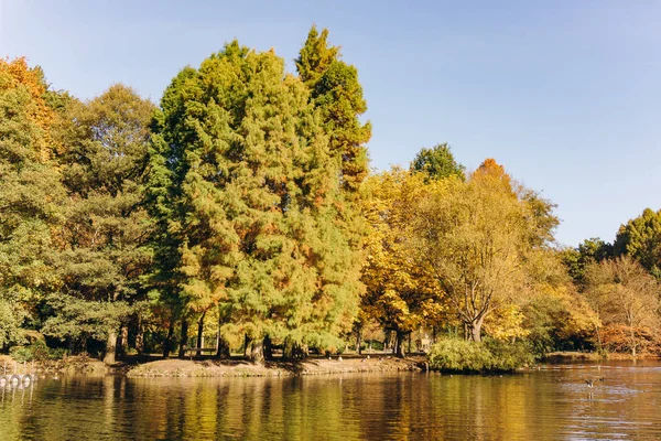 Reflectie van herfstbomen in het meer. Prachtig herfstlandschap aan het meer. Prachtig herfstlandschap. — Stockfoto