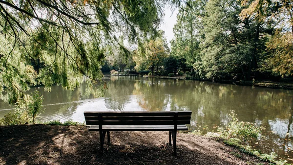 Banco vacío en la orilla del lago enmarcado por árboles con hermosa vista de la costa del lago — Foto de Stock