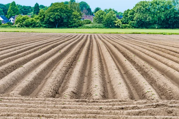 Campo arato, fondo agricolo primaverile — Foto Stock