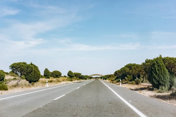 Δρόμος και όμορφο καταπράσινο τοπίο το καλοκαίρι — Φωτογραφία Αρχείου