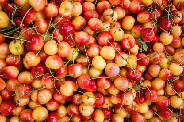 Lots of cherries. Yellow berries cherries. Cherry background. — Stock Photo, Image
