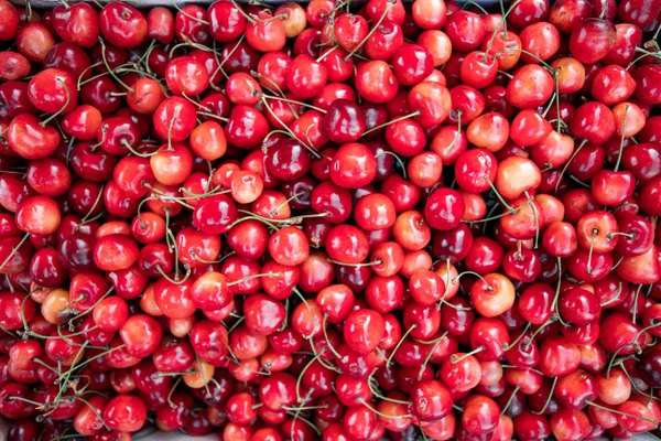 Viele Kirschen. Rote Beeren Kirschen. Kirsche Hintergrund. — Stockfoto