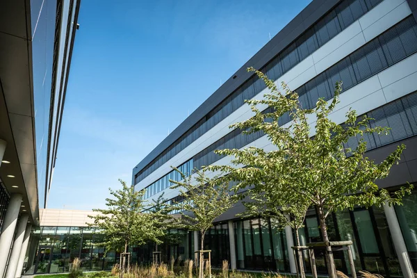 Современное офисное здание на фоне красивого голубого неба — стоковое фото