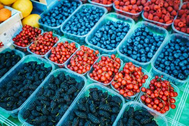 Pazarda taze böğürtlen karışımı, çilek, yabanmersini, ahududu, böğürtlen, kiraz ve kırmızı frenk üzümü.