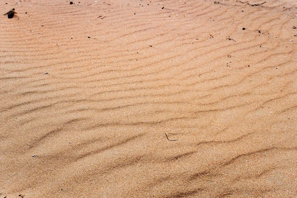 Beautiful sand dunes in desert — Stock Photo, Image