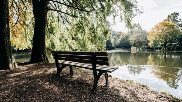 Empty bench on the shore of lake framed by trees with beautiful view of the lake's coast — Stock Photo, Image