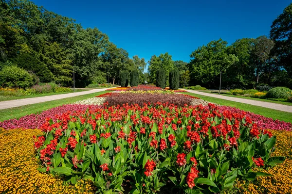 yaz bahçesi. Güzel çiçekler açan