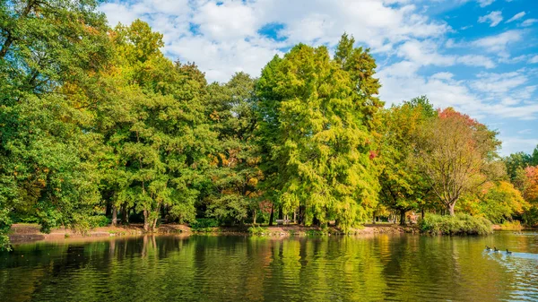 Herfst landschap prachtige gekleurde bomen — Stockfoto