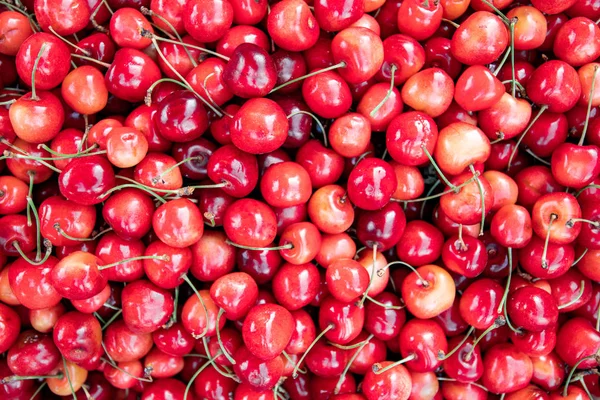 Viele Kirschen. Rote Beeren Kirschen. Kirsche Hintergrund. — Stockfoto