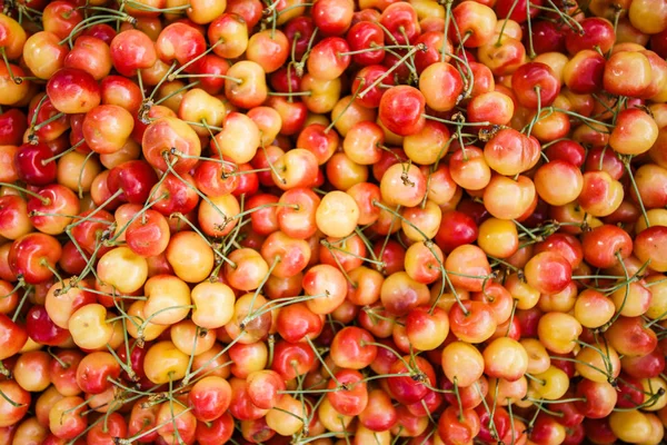 Hodně třešní. Žluté bobule. Cherry pozadí. — Stock fotografie