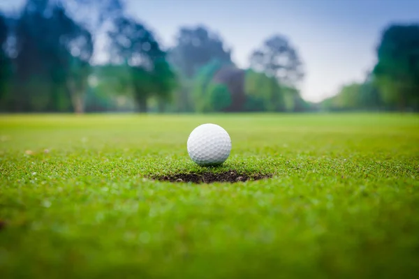 Golf ball on green meadow. golf ball on lip of cup — Stock Photo, Image