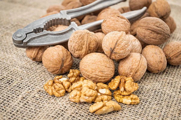 Walnut kernel background. Nutcracker with walnut — Stock Photo, Image