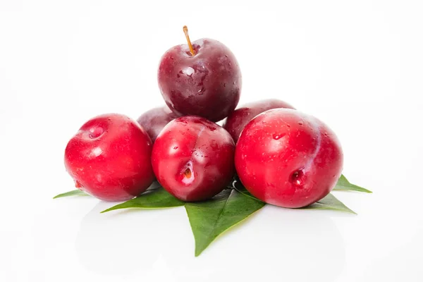 Ciruela roja con hojas verdes aisladas sobre fondo blanco — Foto de Stock