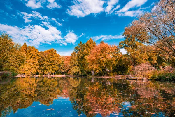 Skutečná podzimní krajina. Zlatá podzimní scéna v parku — Stock fotografie