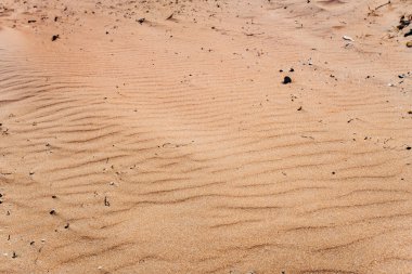 Güzel kumulları çölde