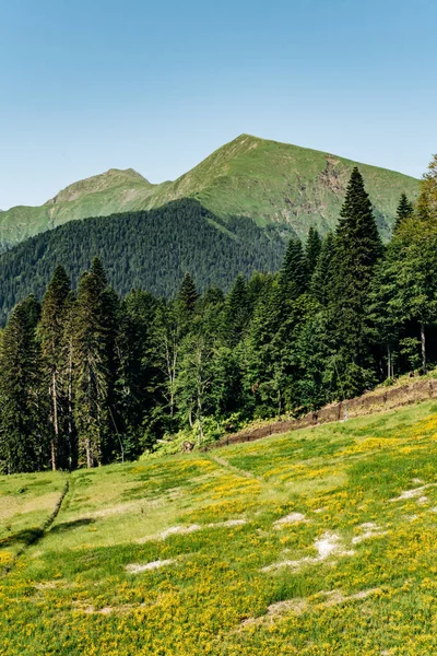 Vista de Montanhas com paisagem verde floresta — Fotografia de Stock