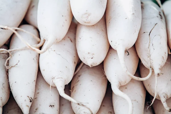 Lots of white daikon radish. White daikon radishes lie on top of each other. — Stock Photo, Image
