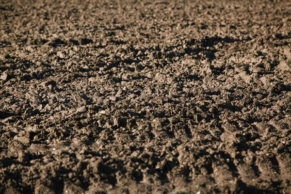 Campo arado. Antecedentes de un campo arado — Foto de Stock