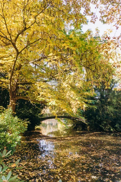 Reflectie van herfstbomen in het meer. Prachtig herfstlandschap aan het meer. Prachtig herfstlandschap. — Stockfoto