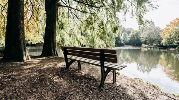 Banc vide sur la rive du lac encadré d'arbres avec belle vue sur la côte du lac — Photo