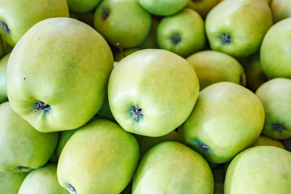 Fundo de maçãs verdes. Muitas maçãs verdes. Belo fundo de maçãs verdes — Fotografia de Stock