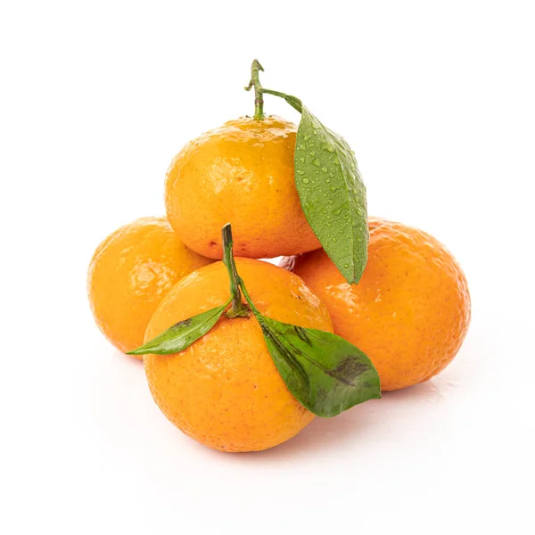 Tangerinas com folhas sobre um fundo branco — Fotografia de Stock